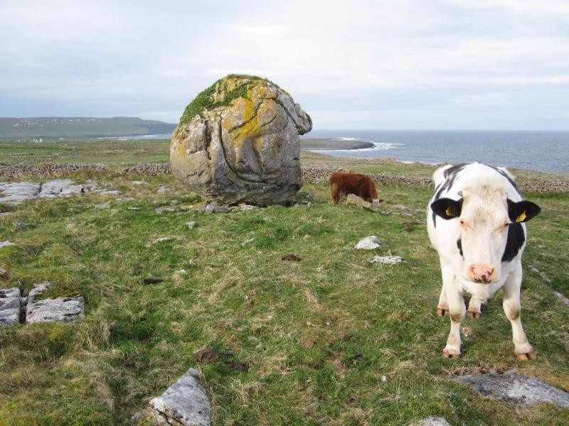 Lanelodge Doolin Exteriér fotografie