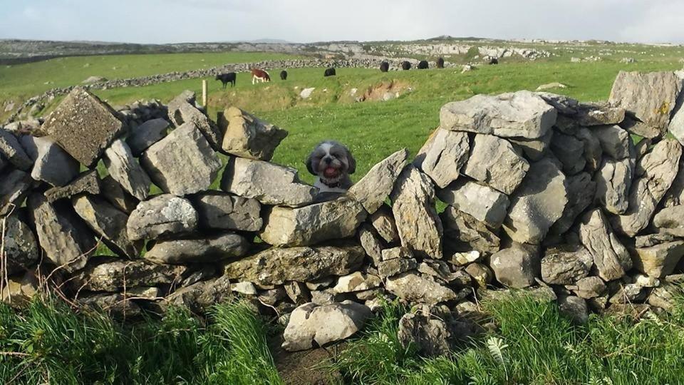 Lanelodge Doolin Exteriér fotografie