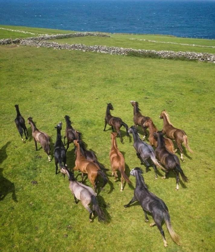 Lanelodge Doolin Exteriér fotografie