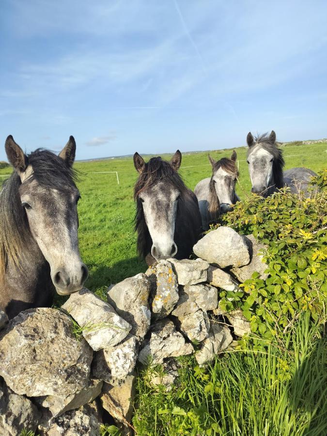 Lanelodge Doolin Exteriér fotografie